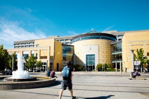 York University Toronto Acceptance Rate